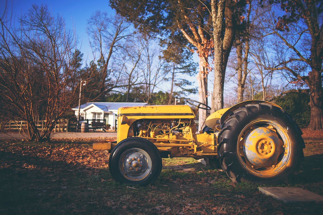 A classic yellow tractor parked outdoors amidst an autumnal setting with bare trees and rustic surroundings.